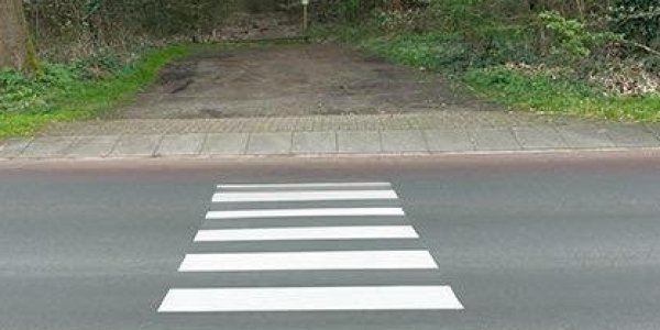 Foto: Actiegroep stunt met nep-zebrapad in Ermelo: 'Een droom die uitgekomen is'